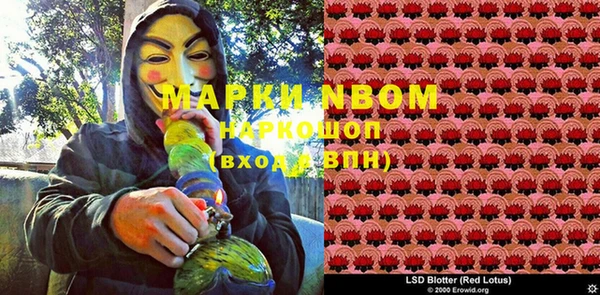 стаф Кукмор