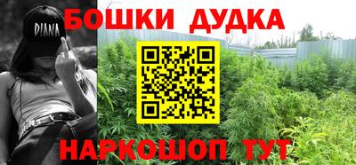 бошки Гагарин