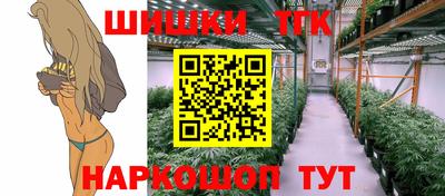 дмт Гатчина