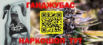 дмт Гатчина