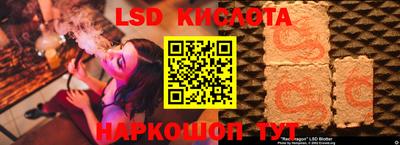 бошки Гагарин