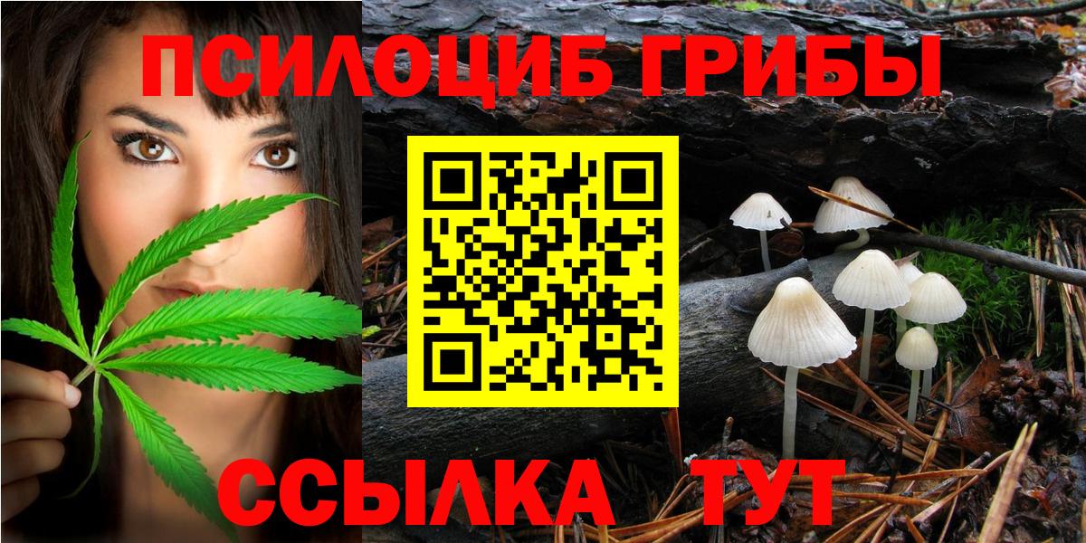 Псилоцибиновые грибы мицелий  Псилоцибиновые грибы Cubensis  Вход с VPN  Ярцево 