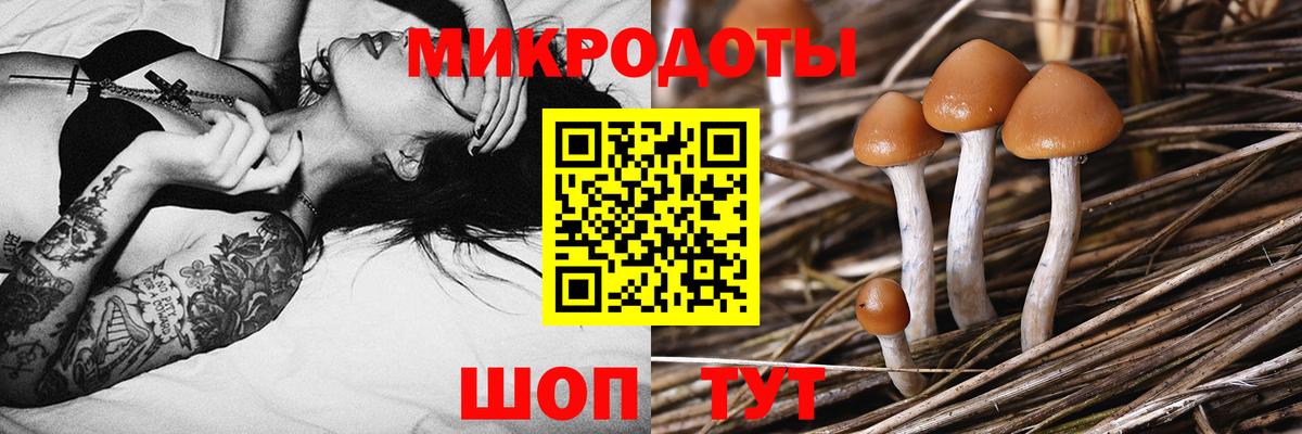 Псилоцибиновые грибы Magic Shrooms Ярцево